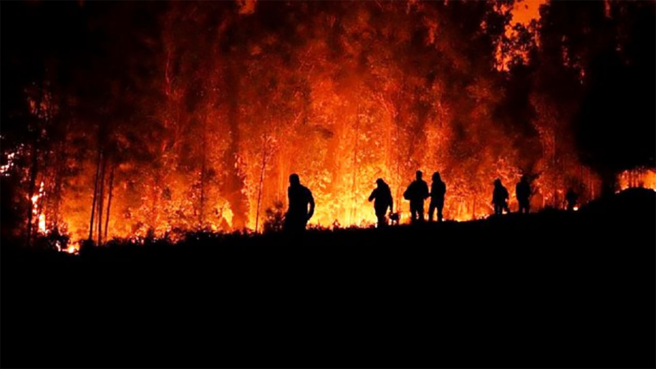 Τουλάχιστον 112 νεκροί στη Χιλή μετά από δασικές πυρκαγιές
